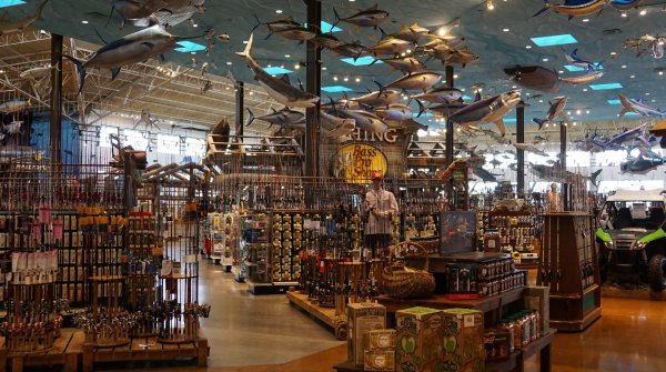 Fishing department of an outdoor store